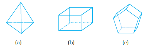 Page 177 Chapter 6 Class 8th NCERT Exemplar